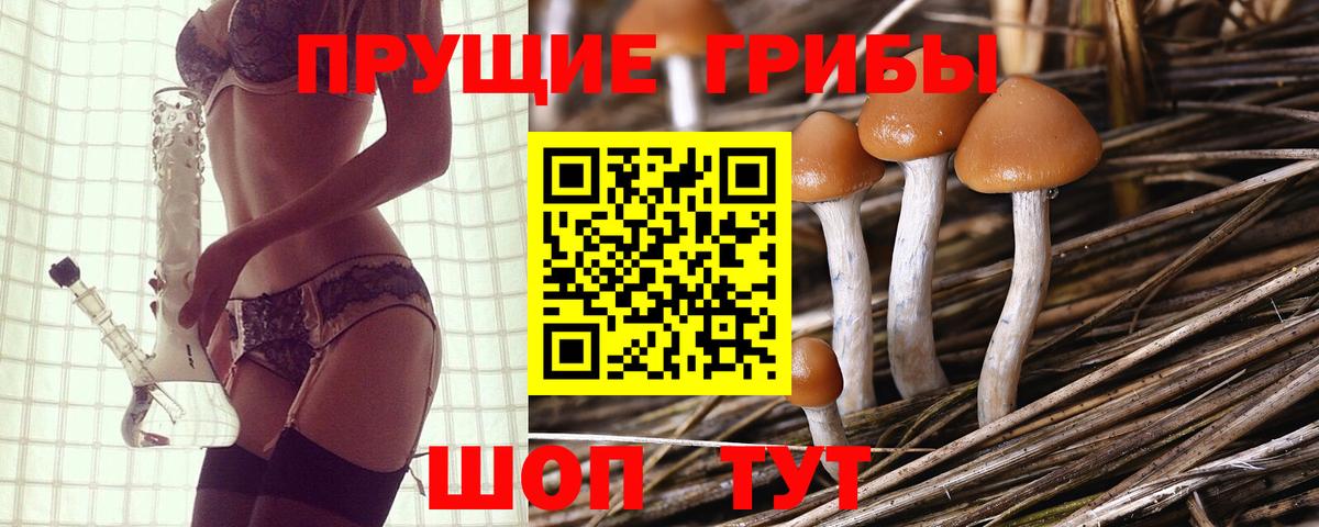 Псилоцибиновые грибы прущие грибы Тайшет